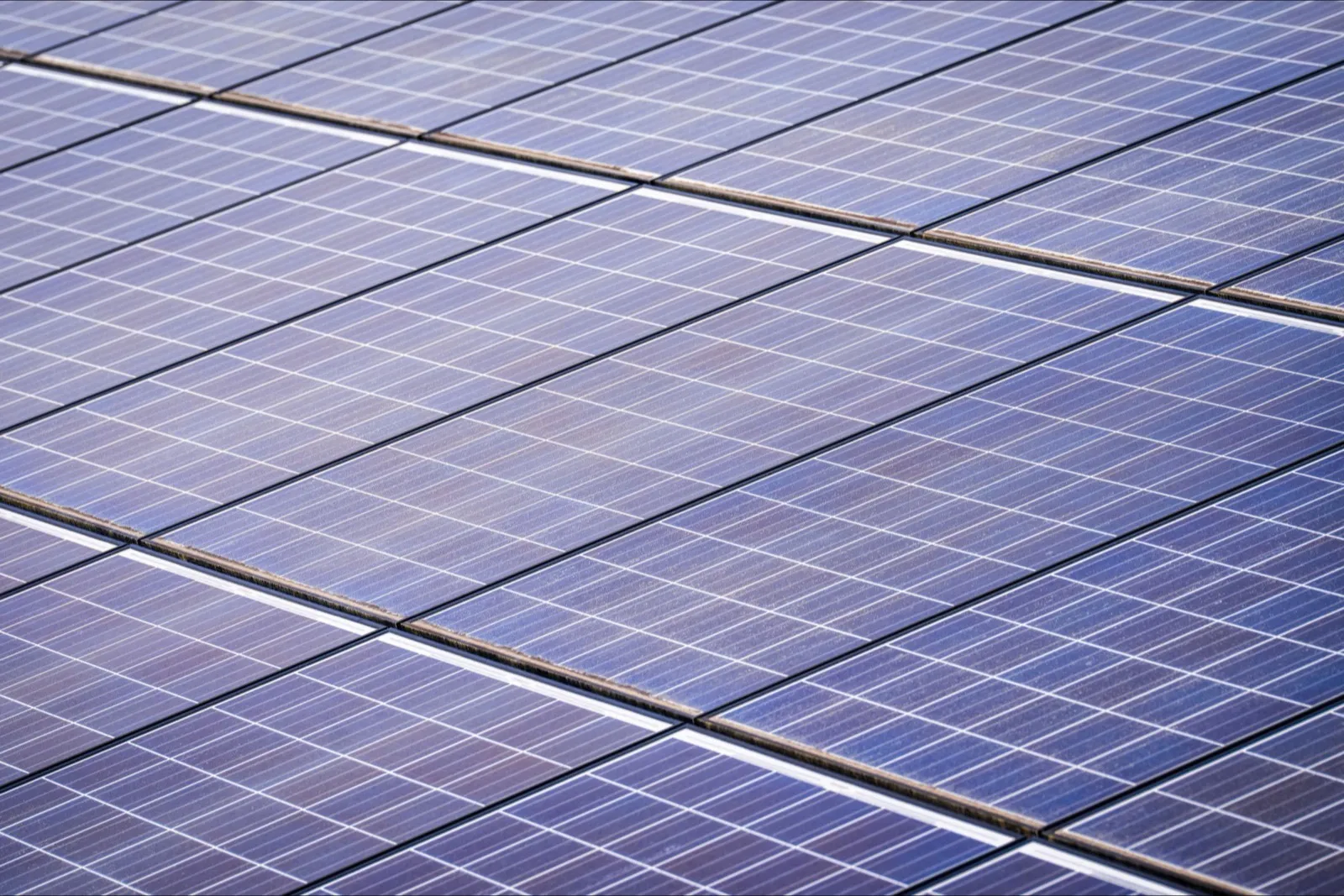 Nahaufnahme dicht gereihter Solarmodule mit sichtbaren Zellstrukturen